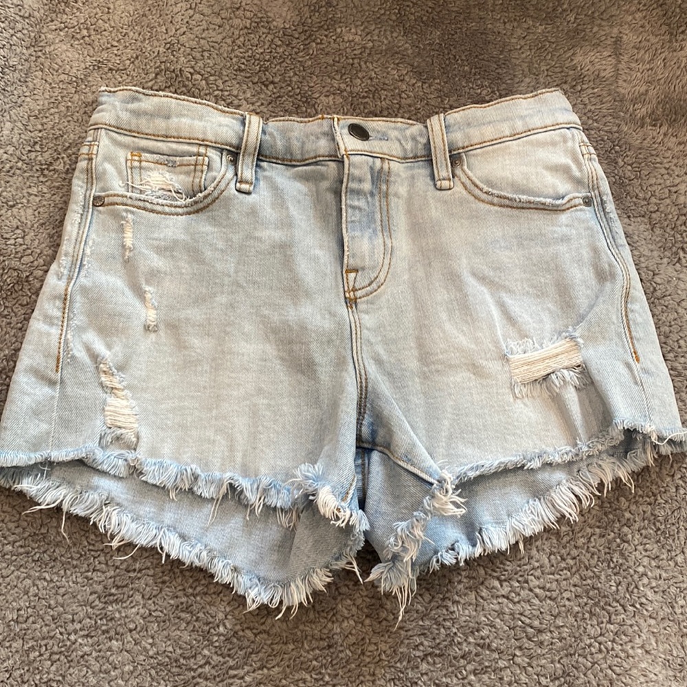 Hudson shorts 25